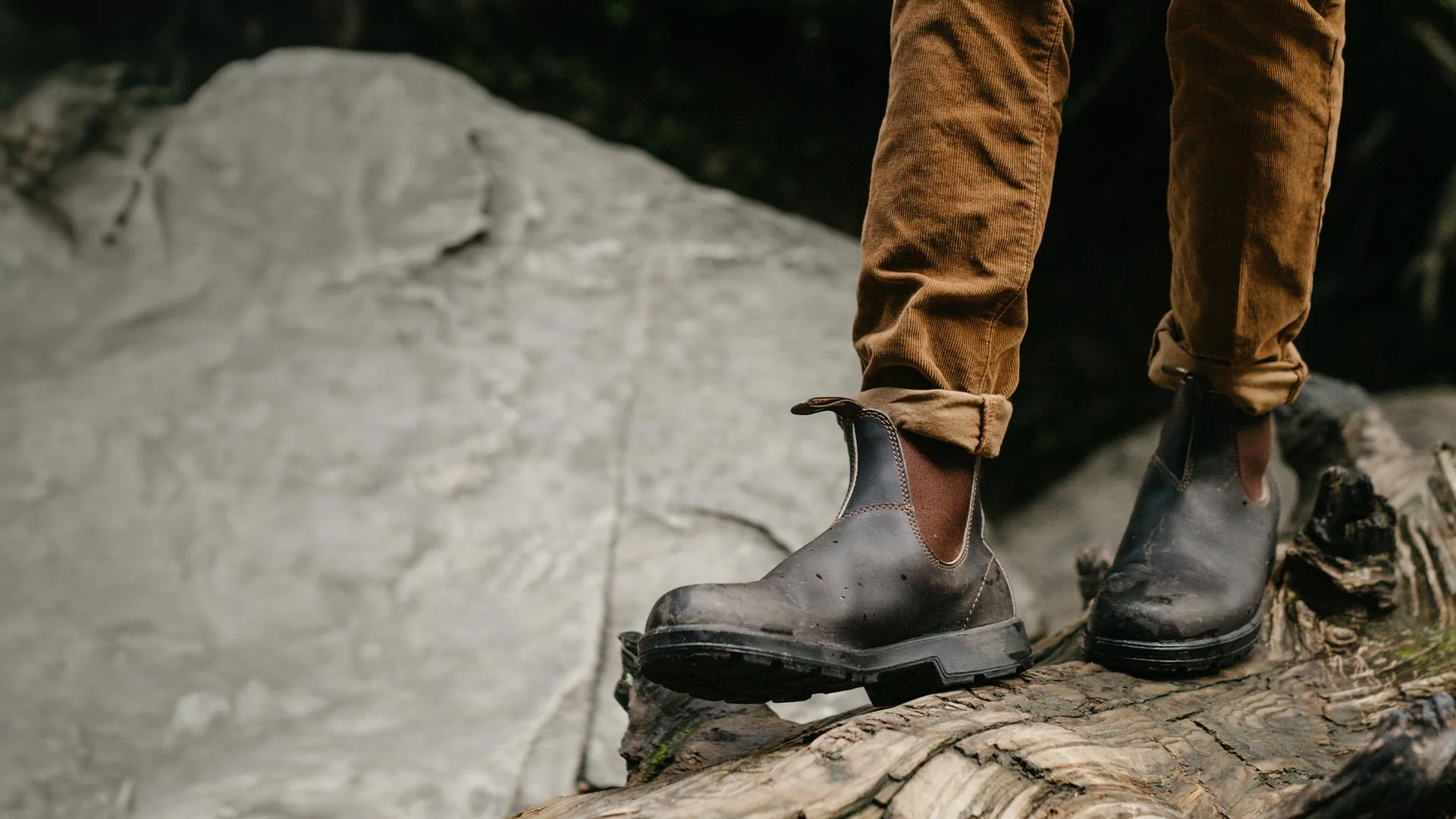 Welcome to Our Store